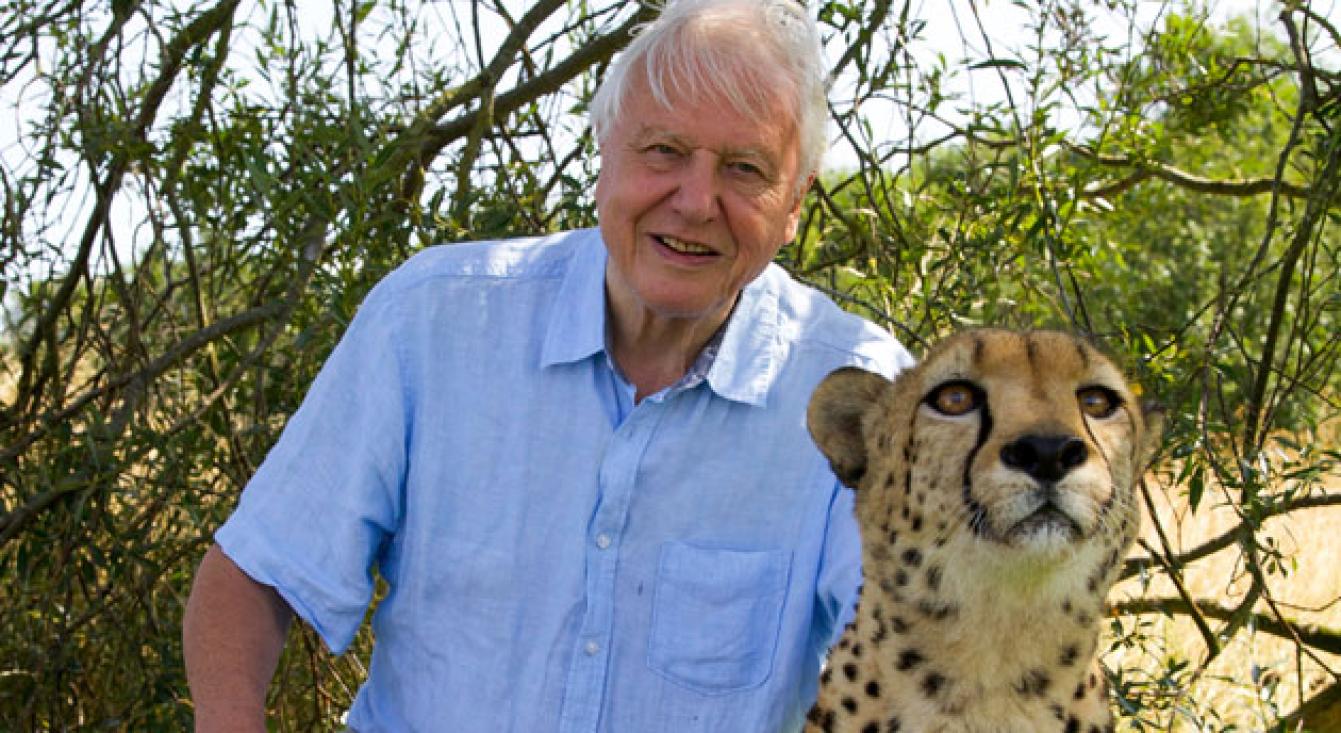 David Attenborough's Rariteitenkabinet-nieuwsfoto