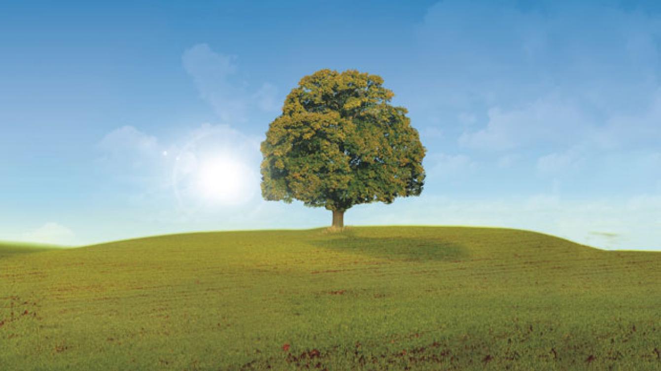 Verborgen verleden Logo nieuwsfoto