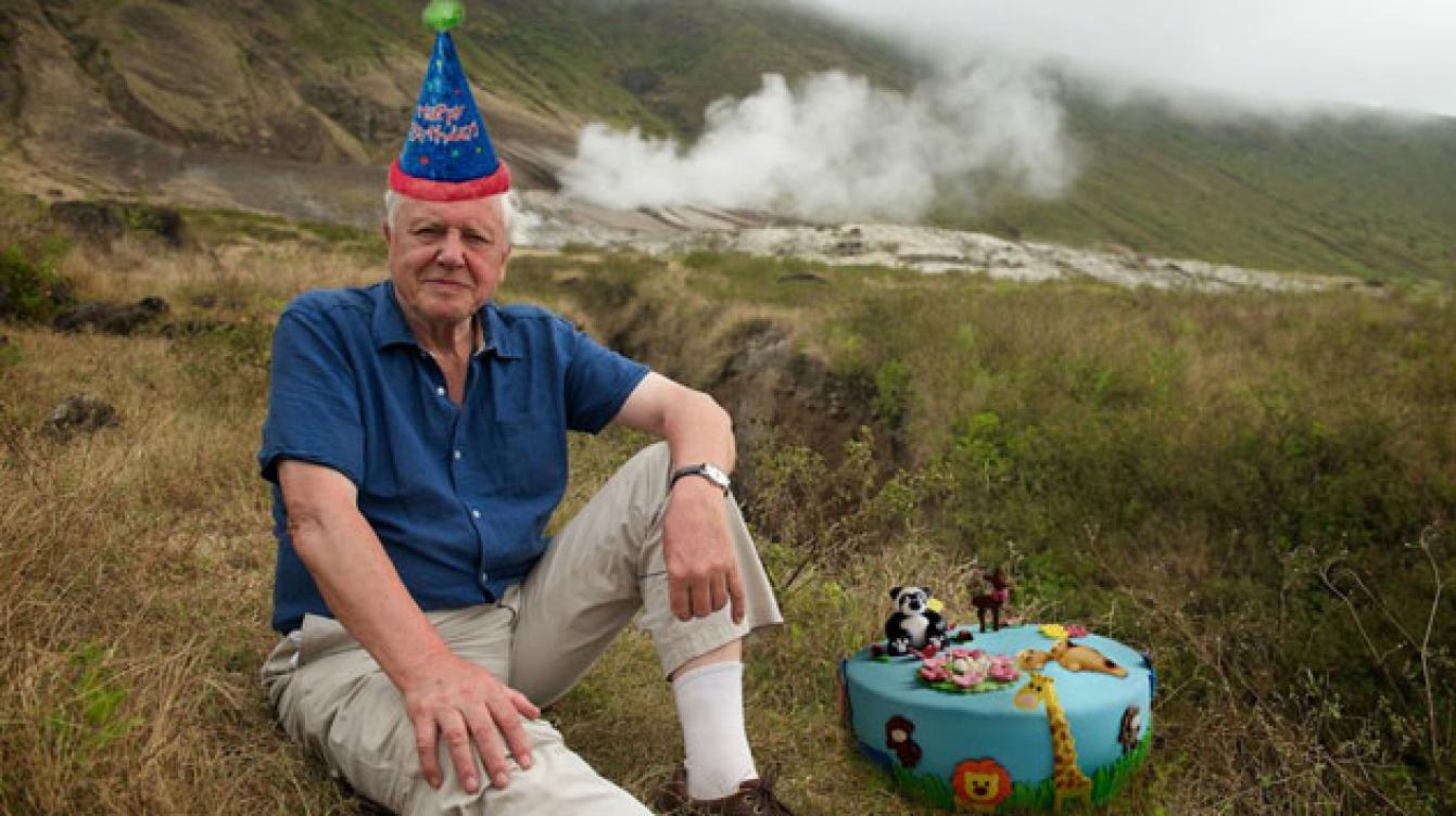 David Attenborough 90 jaar Nieuwsfoto