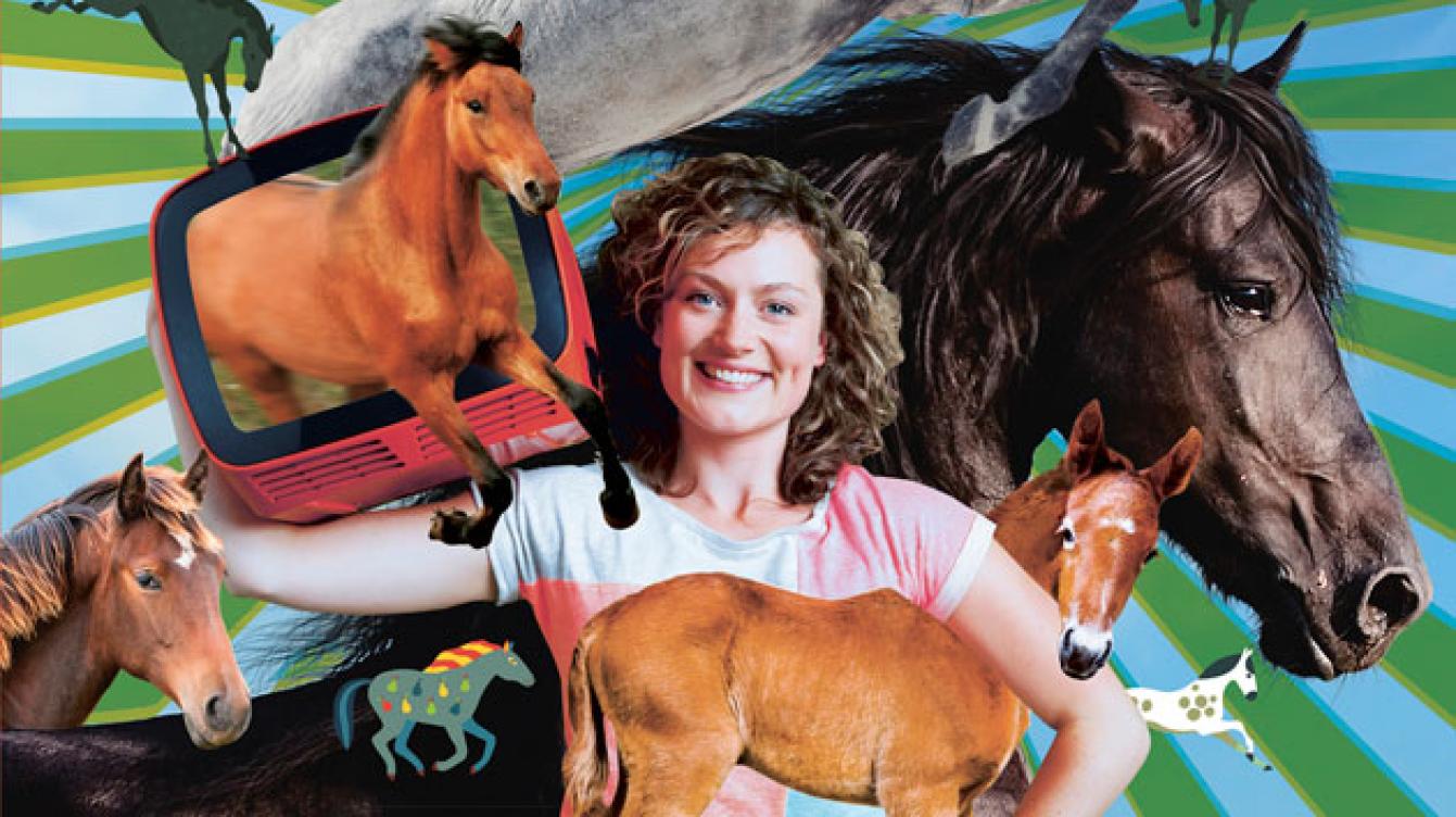 het klokhuis - paarden - boek - uitzendingen