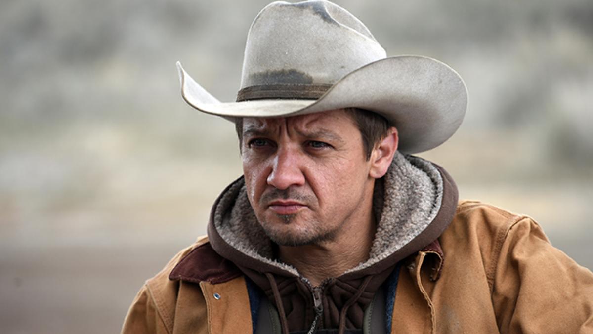 Wind river programmapagina