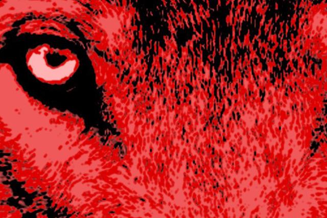 Het Uur van de Wolf 25 jaar header homepage