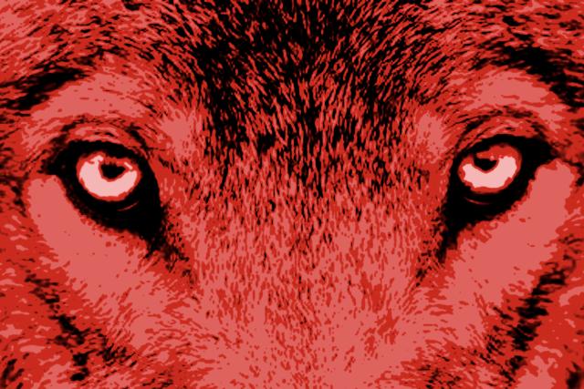 Het Uur van de Wolf 16-9