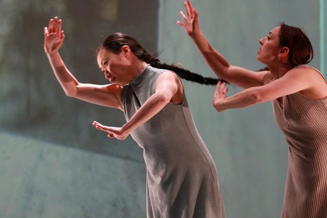 NTR Dans verzamelpagina header