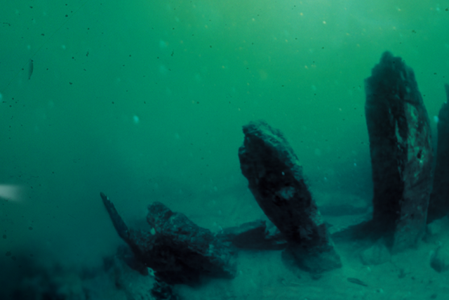 De redders van het scheepswrak header